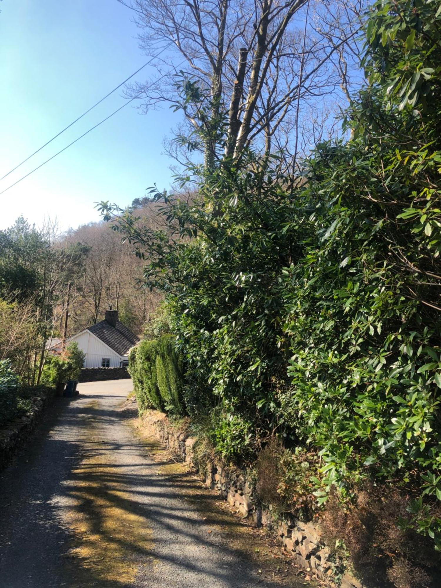 Villa Snowdonia Mawddach Escape Dolgellau Esterno foto